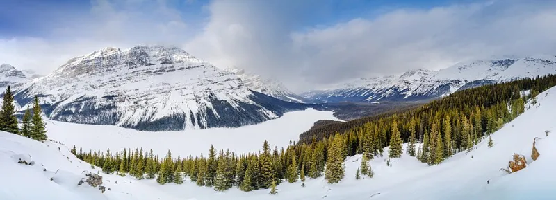Winter Darkness and Your Mental Health: What Every Canadian Should Know About Seasonal Affective Disorder
